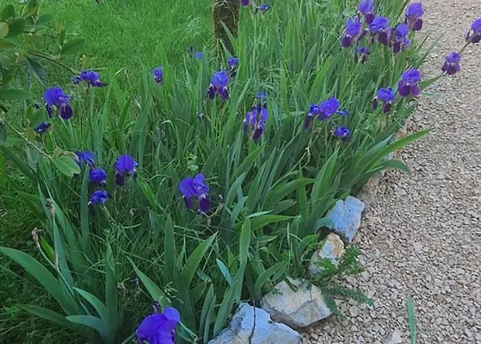 Estela , Grande Maison En Pierre Dom wakacyjny *